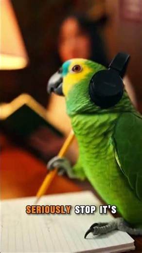Your one brain cell is at a concert while you’re trying to pass Finals. 🎤🦜 #talkingparot #funnypets
