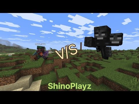 The ultimate Wither Fight- And I Actually Won! I Minecraft #minecraft #wither #gaming #hdr