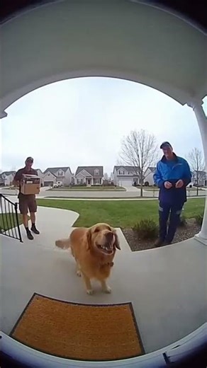 Two Delivery Drivers… One Decision.😭🐶