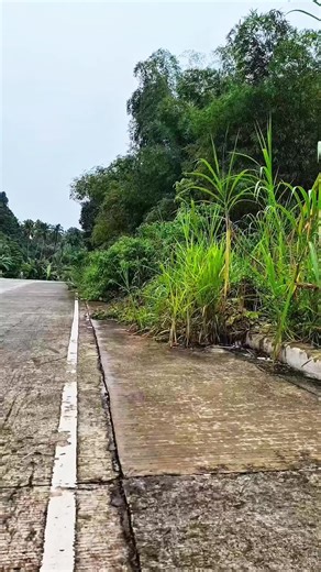 Effective Cleaning Tips for Motorcycle Maintenance