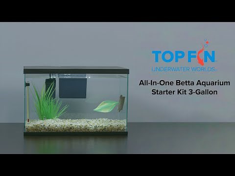 Top Fin All-In-One Betta Fishtank #Aquarium Kit Setup | YouTube