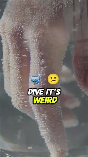 Have you ever tried having a bubble skin phenomenon 😱 #science #shortsfeed