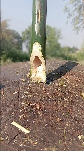 Bamboo cut diy tricks #bamboo #diy