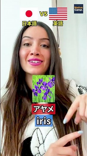 意外と知らない？この「花」、英語でどう表現する？