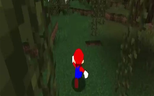 This Minecraft Mod adds in the Super Mario 64 Engine!