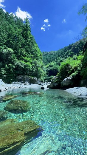 どんな夏休みにしようかな😁#underwater #natureathome #riversgg #水中撮影 #川