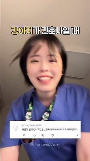 강아지가 간호사가 되었을 때 asmr #간호사