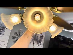 NCFD ceiling fan display 2025