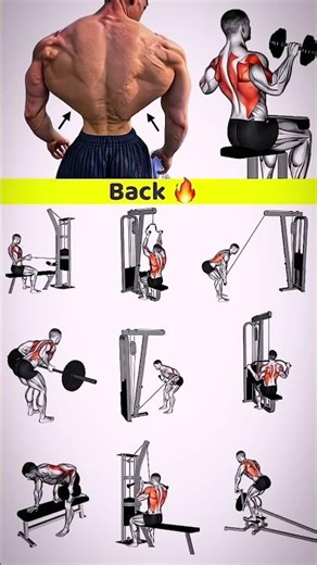 9 Different Types of Back Exercises | Grow Your Back Fast | Back Workout Guide 🔥