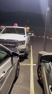 Hello everybody! It’s me, Mayor Max! This is what I look like when not one or two, but three pizzas are approaching the car! This is because Phyllis is an overeater, but she loves to share her food. So we are living the dream as you know. All pizza all the time! There’s no such thing as too much pizza! We know pizza is the number one health food in America! We love you with all of our heart! If you would ever like us to guard your pizzas for you, Meadow and I are the team for the job! We promise