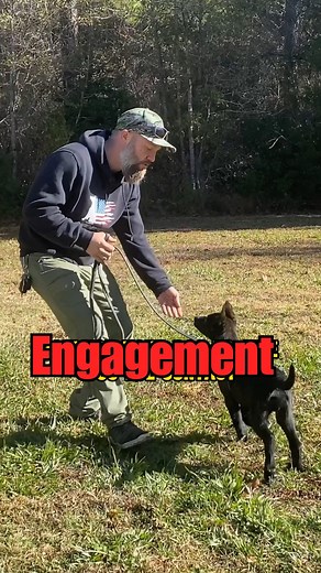 Trainers Chad and Kevin discuss the step by step process for building engagement with your dog. Engagement is building sustained focus on you as the handler over time. Listen to Pack Talk Podcast for more information on dog training and dog behavior 🔥 #dogs #dogtraining #dogtrainer #dogtrainingtips #dogtrainingadvice #packtalkpodcast | Canine Revolution Dog Training