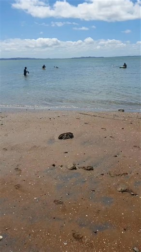 1.1K views · 25 reactions | I love the moments this place has given me. Truly blessed by the people tangaroa has put in my path. It's all love out here #NZFHD #TangaroasKeepers #KeenToDive Down To Earth Kiwis NZ - DTEK NZ Ngati Providers Kai Mo Te Tēpu | DTEK Dan NZ | Facebook