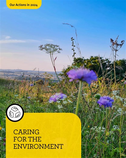 Our ambition to care for the environment sets out our aim to contribute to reducing climate change and its impact, as well as to help conserve and enhance nature and biodiversity through our own activities and influence 🌿 Here are some of the actions we took in 2024 👇 | NFU Mutual