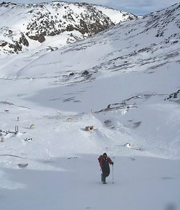 Ahora trabajando, para entregaros interpretaciones de calidad — Proa a Qeqertarsuaq