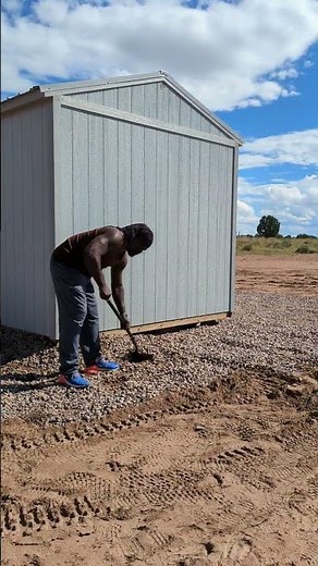 Protect your shed from pesky insects and animals.