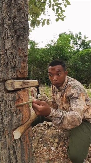 Traps Slap #bushcraft #trap #survival