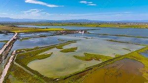 View of delta Ebro, the delta region of the Ebro River in the southwest of the Province of Tarragona in the region of Catalonia in Spain