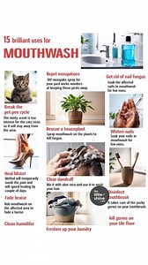 26K views · 117 reactions | the best ways to use toothpaste, mouthwash and salt - Part 1 | Little DIY | Facebook