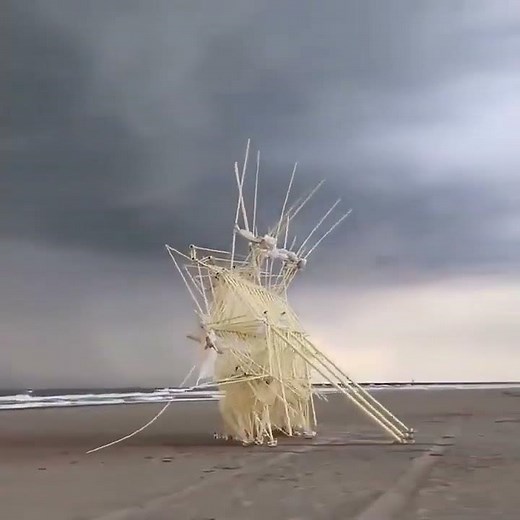 STRANDBEEST EVOLUTION