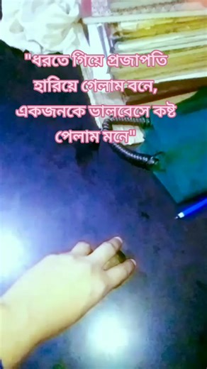 My Life Line Mukta ♥️ (@life.line.mukta)’s videos with original sound - Arshi Ray