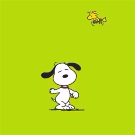 Snoopy Lovers on Instagram: "I’m never going to get over this kind of videos 🥸🤣 . . . . . Via Pinterest #snoopy #snoopylover #snoopygrams #snoopydog #snoopymuseum #snoopylove #snoopycollection #snoopyfan #snoopymania #snoopylovers #snoopygram #snoopyworld #snoopythai #snoopymuseumtokyo #snoopys #snoopyparty #snoopyjapan #snoopyandwoodstock #ilovesnoopy #snoopyforever #snoopytown #snoopyfans #snoopyaddict #snoopyshirt #snoopymug #snoopydaily #peanutscomics #thepeanuts #snoopyloveronly"
