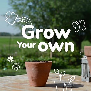 Growing your own capsicums are easy! Just cut a capsicum in half, loosen the seeds, and plant in a pot indoors with our Performance Naturals Potting Mix. What’s your favorite way to cook capsicums? https://bit.ly/2YThpQT | Scotts AU