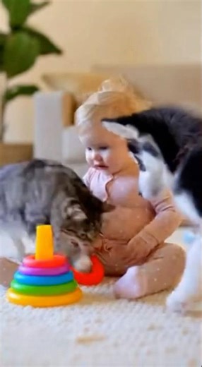 🍼 Baby Boss Stops Cat & Puppy Toy Fight! 🐱🐶赤ちゃんが猫と子犬のおもちゃ争いを止める #shorts #viral #fypシ