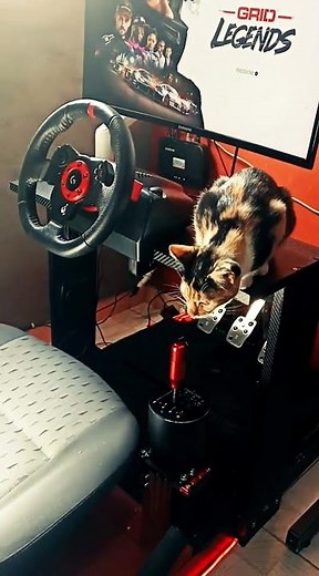 MY SIM RACING SIMULATOR SETUP GAMER