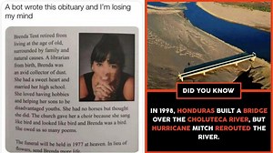 15 Social Media Stories Of Things Gone Horribly Wrong