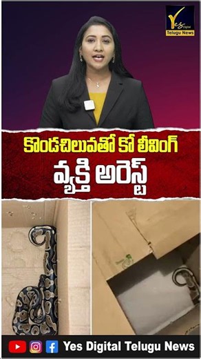 Python as Pet? | కొండచిలువతో కో లీవింగ్ వ్యక్తి అరెస్ట్