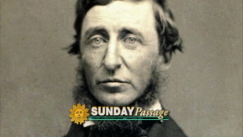 Passage: Henry David Thoreau's 200th birthday