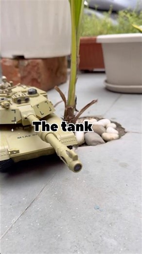 Nature’s Strongest Armor 🐢 | Animal Facts #shorts