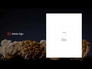 CSUSB Adobe ESign Workflow - how to set up a workflow.