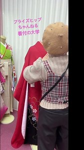 #山宮博子 #着物 #kimono #本気の着付け教室#着付け動画