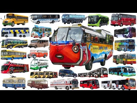 AMAZING AMPHIBIOUS BUS - Buses Collection Bame | School bus, City bus, Airport bus, Offroad, Ads bus