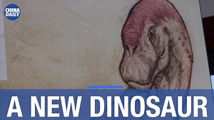 6.1K views · 281 reactions | Argentine scientist discover a new dinosaur species | China Daily | Facebook