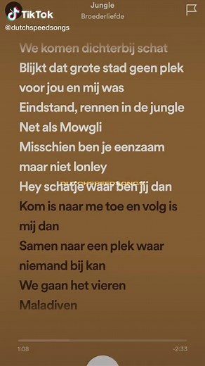 Nostalgic Jungle Lyrics by Broederliefde
