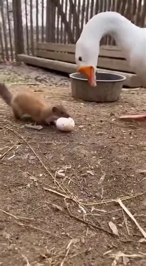 فيديوهات أنشأها Sahil Capture (@sahilcapture) باستخدام original sound - 😉ZioBANDUNG😉 - 🌠ZioBANDUNG🌠