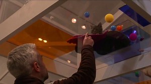 Fresh Step Clean Paws TV Spot, '2019 Cats on Glass Gallery'