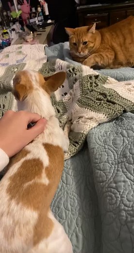 Someone had to hold him back😪