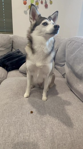 Outta sight outta mind 😂😂😂😂