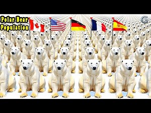 Polar Bear Population by Country 2025 | Comparison Video