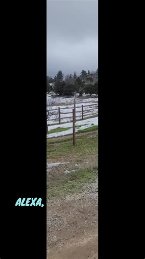 #alexa #Siri #weather | siri and alexa