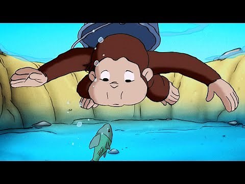 おさるのジョージ 🐵 ロンリーフィッシュ 🐵TVアニメシリーズ🐵 フルエピソード