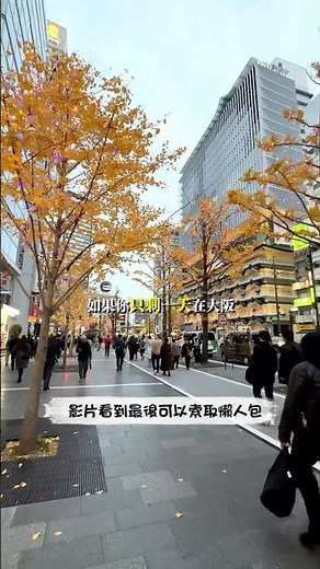 只有一天玩大阪？這條超強「懶人包路線」照著走就對了！#老蕭與馬琳愛旅遊 #大阪自由行 #大阪一日遊 #天王寺動物園 #通天閣 #阿倍野HARUKAS #阿倍野展望台 #關西旅遊 #日本自由行