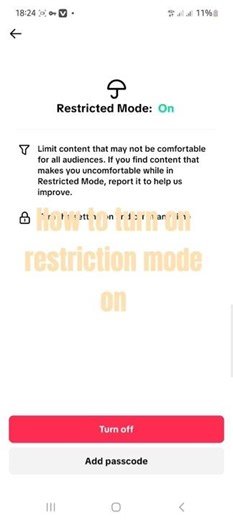 Protect Your TikTok: Enable Restricted Mode