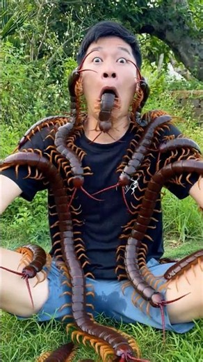 Bushcraft skills #shorts #vfx #monster #giantcentipede