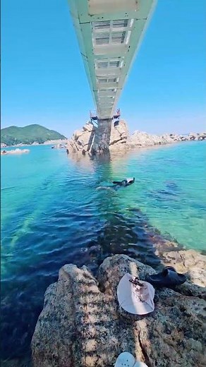 #국내여행 #삼척여행 #장호항 #용화해수욕장 #스노클 #스노클링 #동해여행