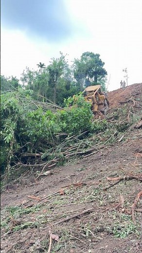 Revolutionary Land Clearing D6R XL Bulldozer for Oil Palm