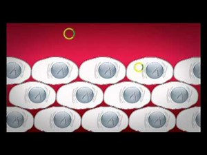 Gene Therapy, a new tool to cure human diseases